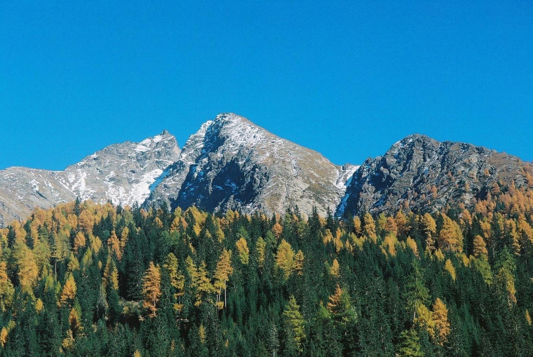 Ferienwohnung Bergmann Außervillgraten Bagian luar foto